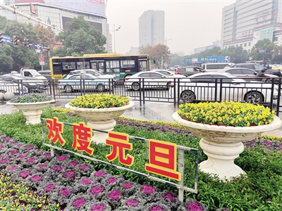 绣花造景,设计出以"喜迎元旦"为主题的立体花坛,营造了节日氛围